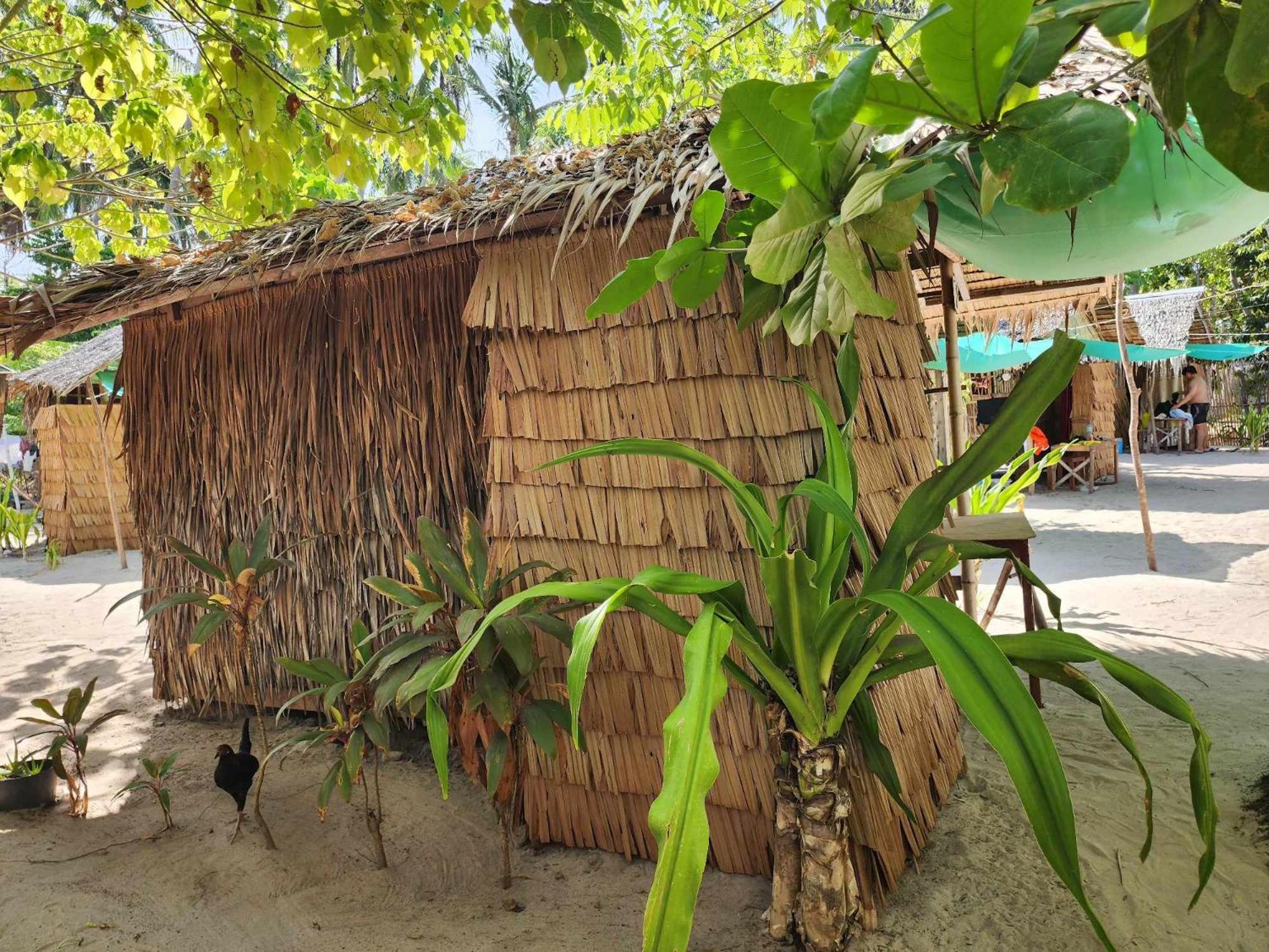 Bice Camp Darocotan Campsite El Nido