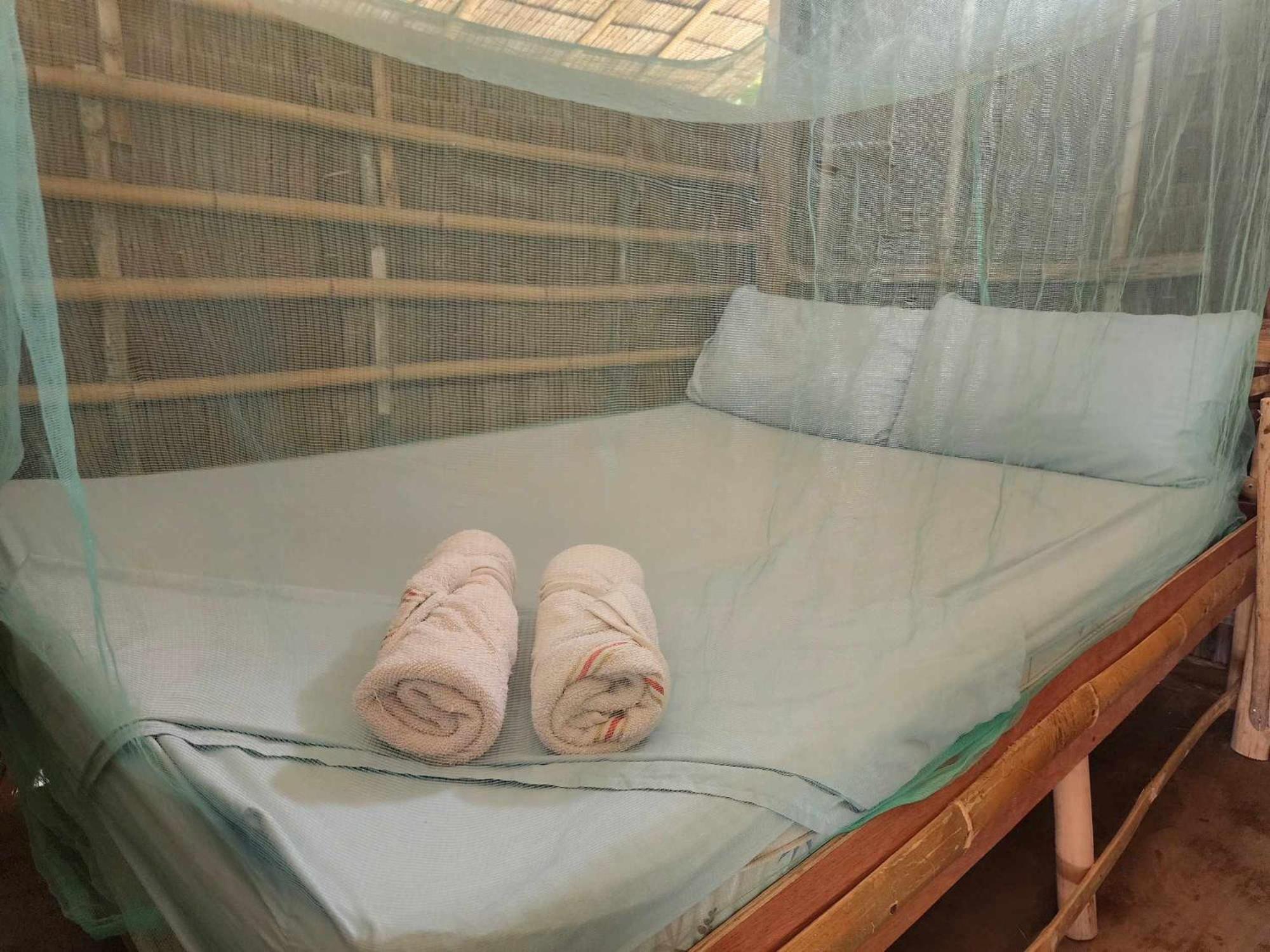 Bice Camp Darocotan Campsite El Nido